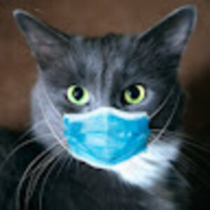 jovierobinson avatar