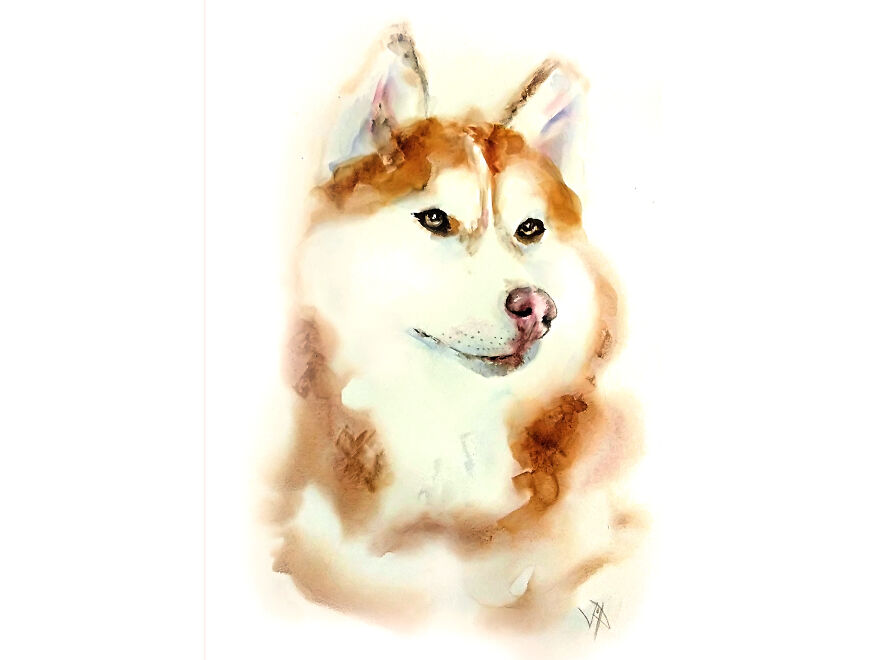 Artist Paints Portraits Of Pets To Save Stray Cats