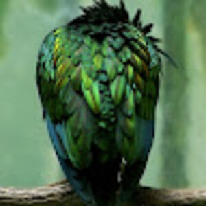 victoriamayrose avatar