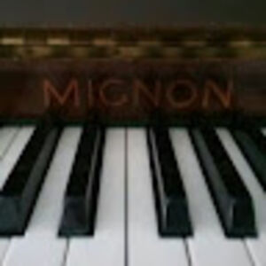 animallover2024 avatar