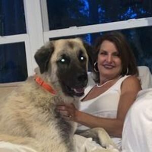 monicamclendon111 avatar