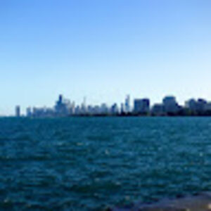 aimaliciawhiting avatar