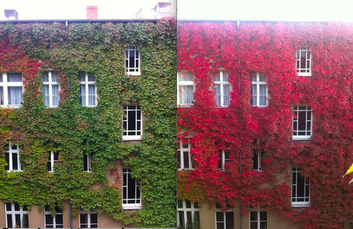 Last Week vs. This Week