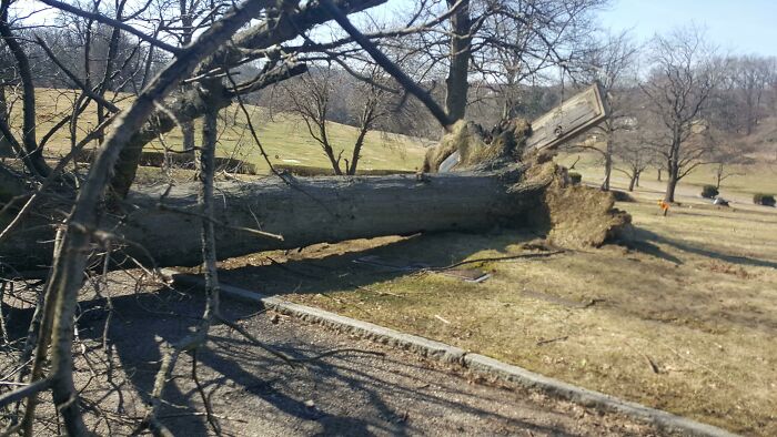 It Was So Windy The Other Day It Raised The Dead