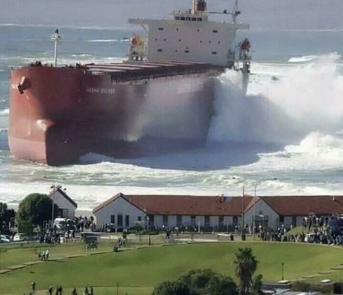 This Is Just One Picture