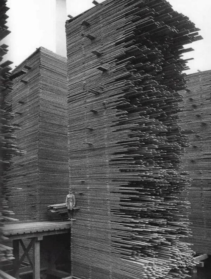 A Mountain Of Timber. All Stacked & Unstacked By Hand
