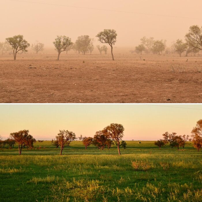 Five Months Later In Australia After The Rains