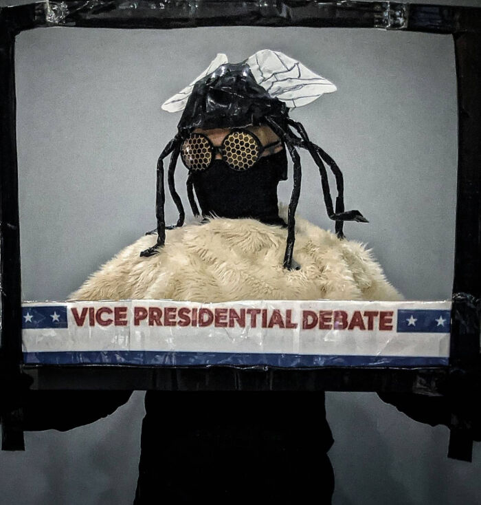 Vice Presidential Debate Fly