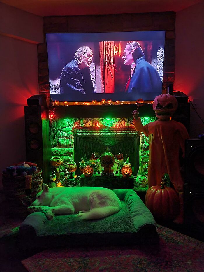 Just Sharing My View