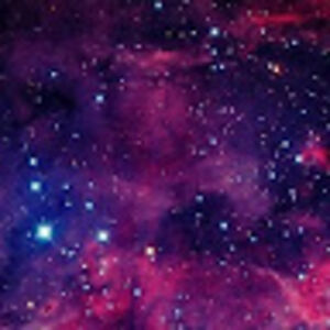 taniarodrigues avatar