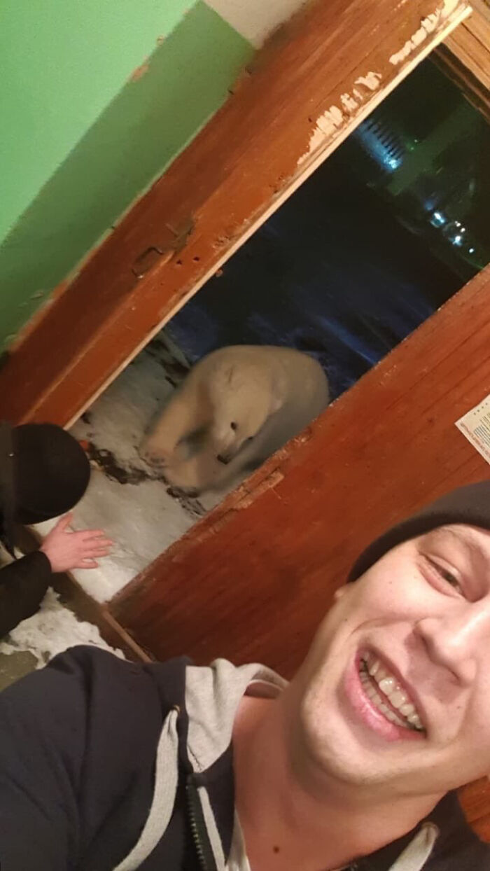 What Kind Of Dog Is That?