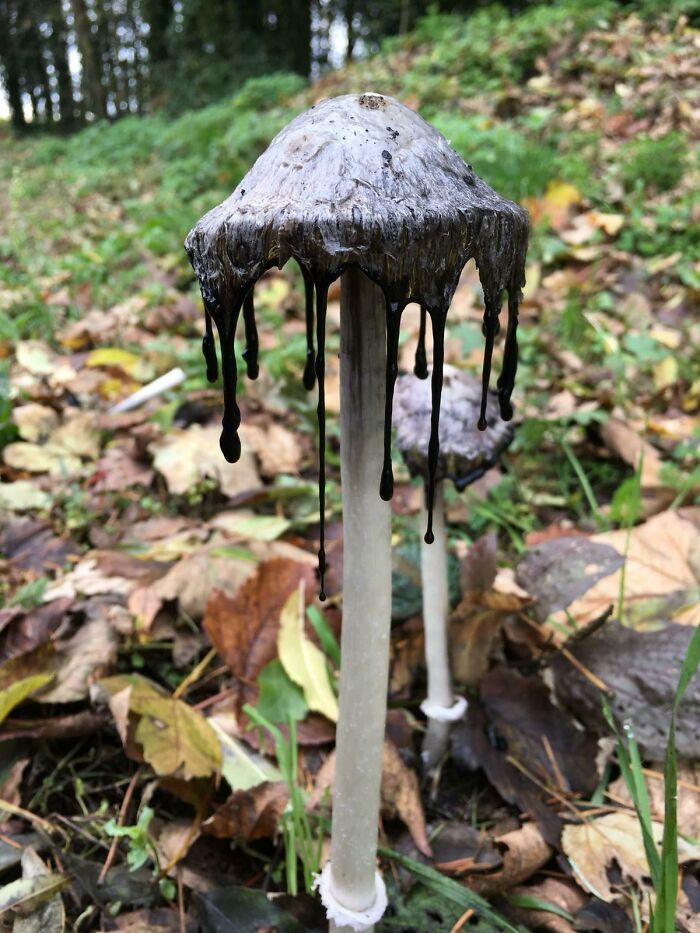 Underworld Is Leaking