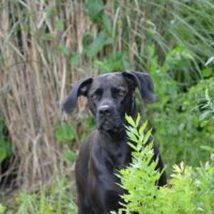 carola_riediger avatar