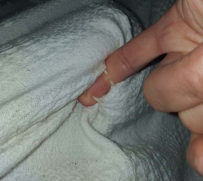 Creo que voy a tener que devolver esta manta. Tiene dientecitos 