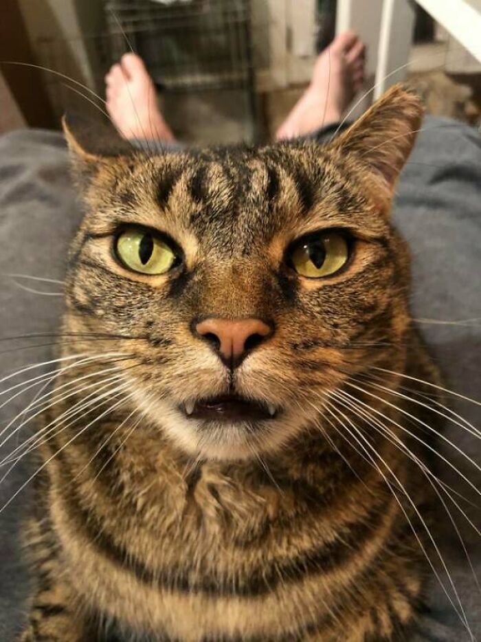 What A Pleasant Welcome Home!