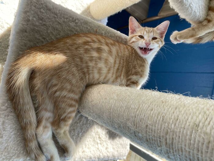 ¡La sonrisa de mi chica Yoshi!