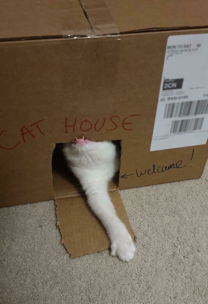 ¿Protegiendo su reino o comiéndoselo?