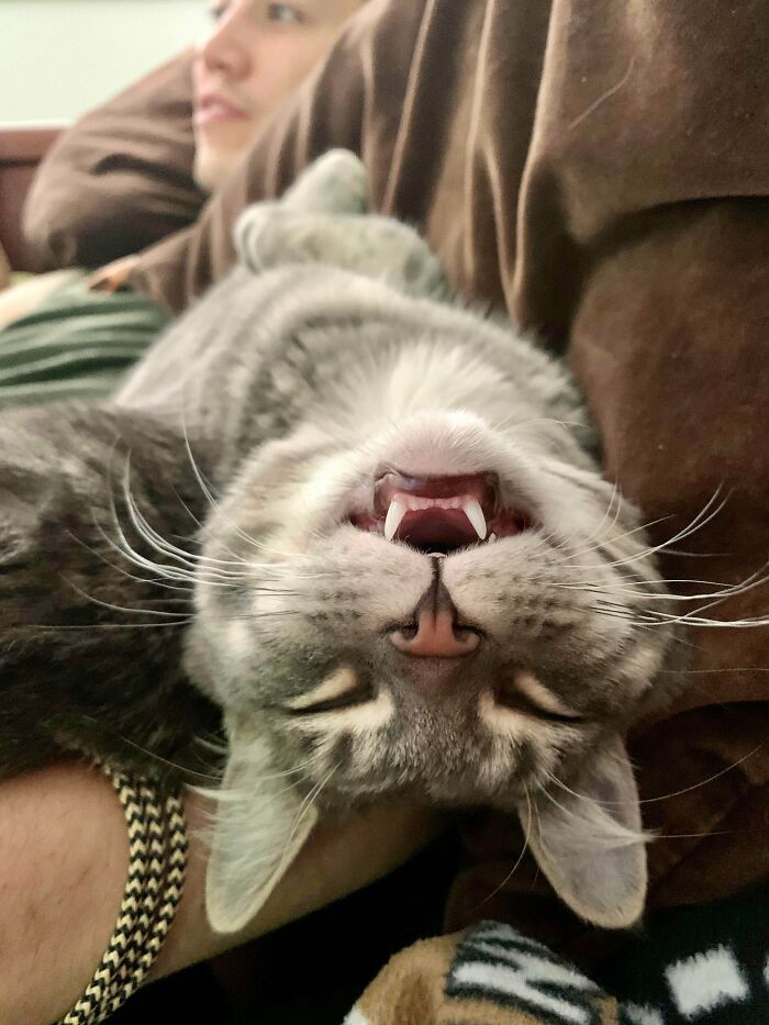 Cuatro meses después y nada cambió