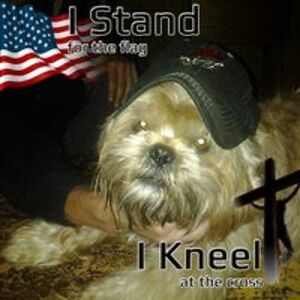 olsonjohnnie2000 avatar