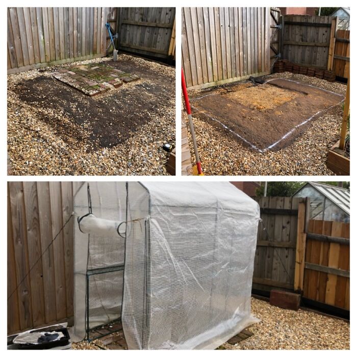 Not The Full Thing, But We Got A New Glass Greenhouse, And So We Are In The Process Of Removing The Plastic Ome