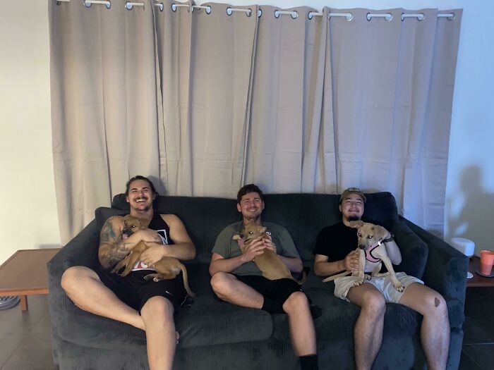 Three men sitting on a couch, each holding a rescued dog, showcasing wholesome rescue pet pics to heal your soul.