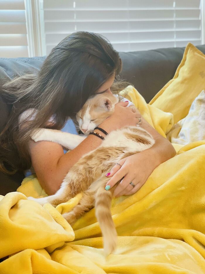 Woman cuddling a rescue cat wrapped in a yellow blanket on a couch, showing a wholesome rescue pet moment.