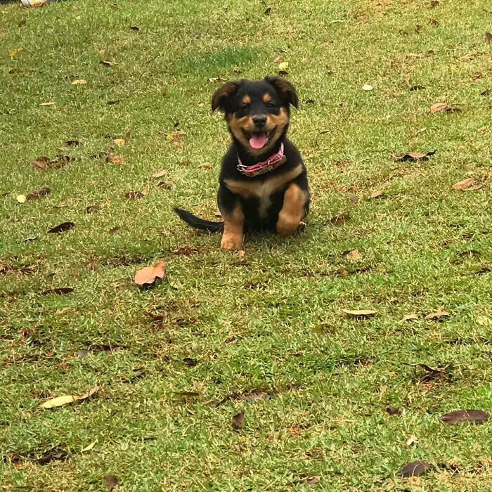 Cute Girl We Adopted... She Is Being A Little Sunshine In Our Lives