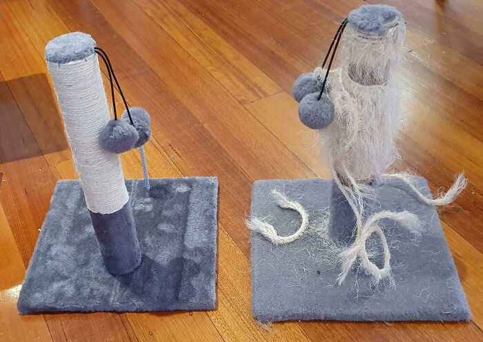 New vs. 3-Year-Old Cat Scratching Post