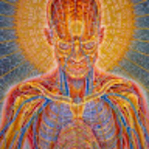 eddardtyrsson avatar