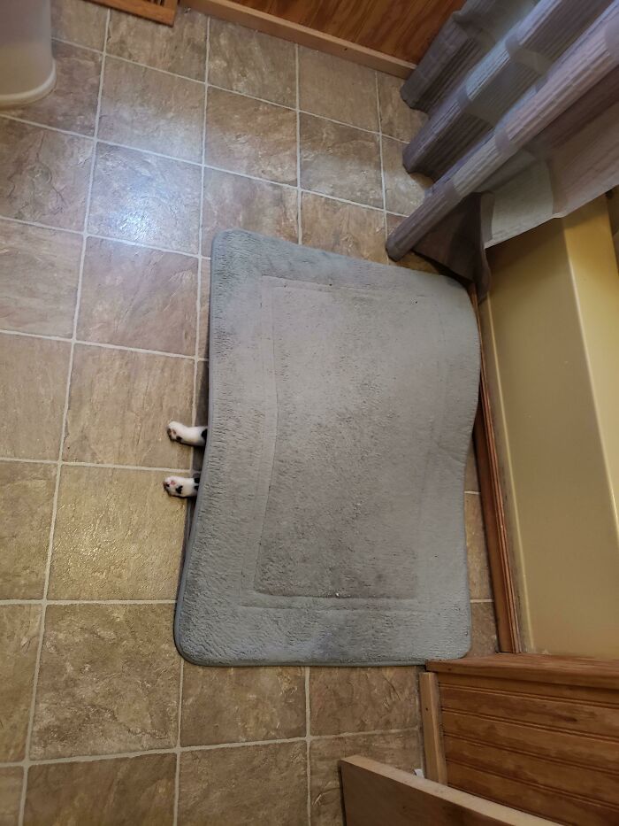 If I Dont Move They Can't See Me