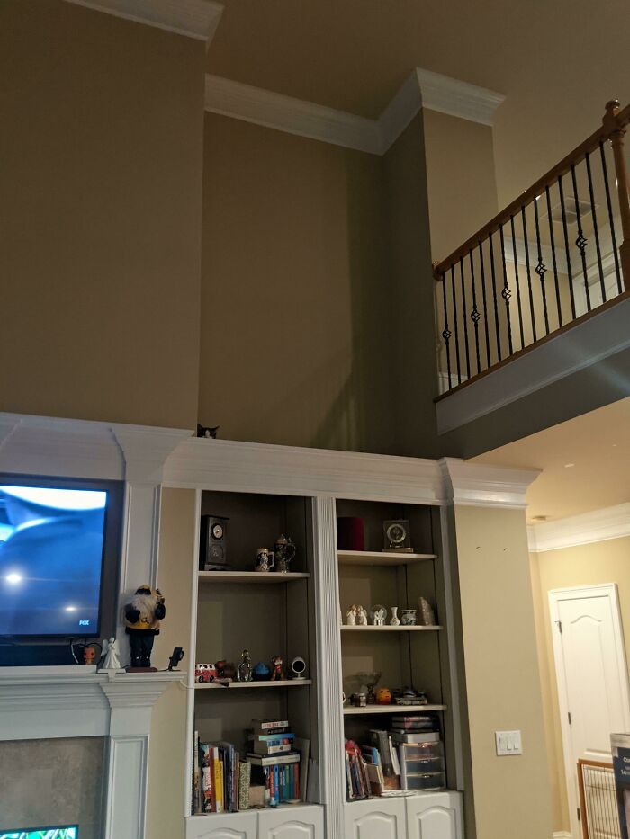 I Finally Figured Out Where Tank The Cat Has Been Hiding. I Only Saw Him Because A Bird Chirped On TV And He Stuck His Head Up Slightly. Who Sees Him?