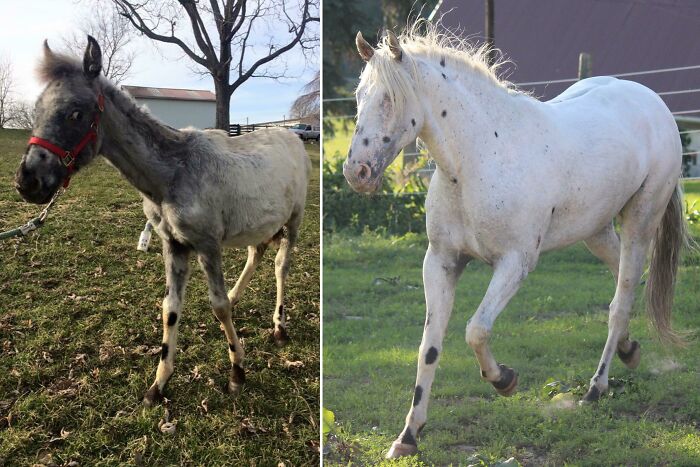 Just Another Transformation Of My Favorite Boy