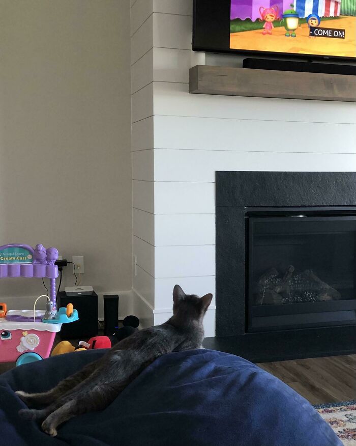 Just Frogged Out On This Beanbag Watching Cartoons With My Homies