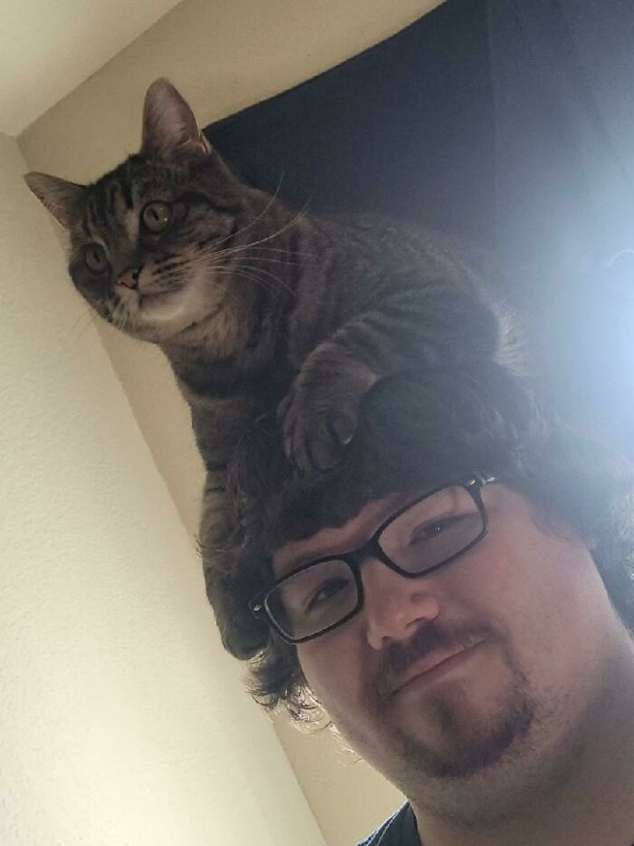 Whatswrongwithyourhat