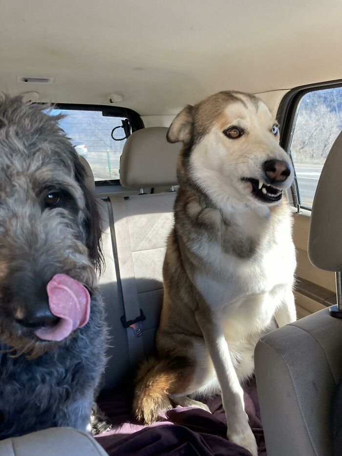 A Very Photogenic Couple