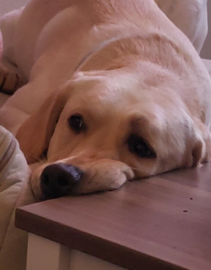 When Mom Ignores You For .2 Seconds