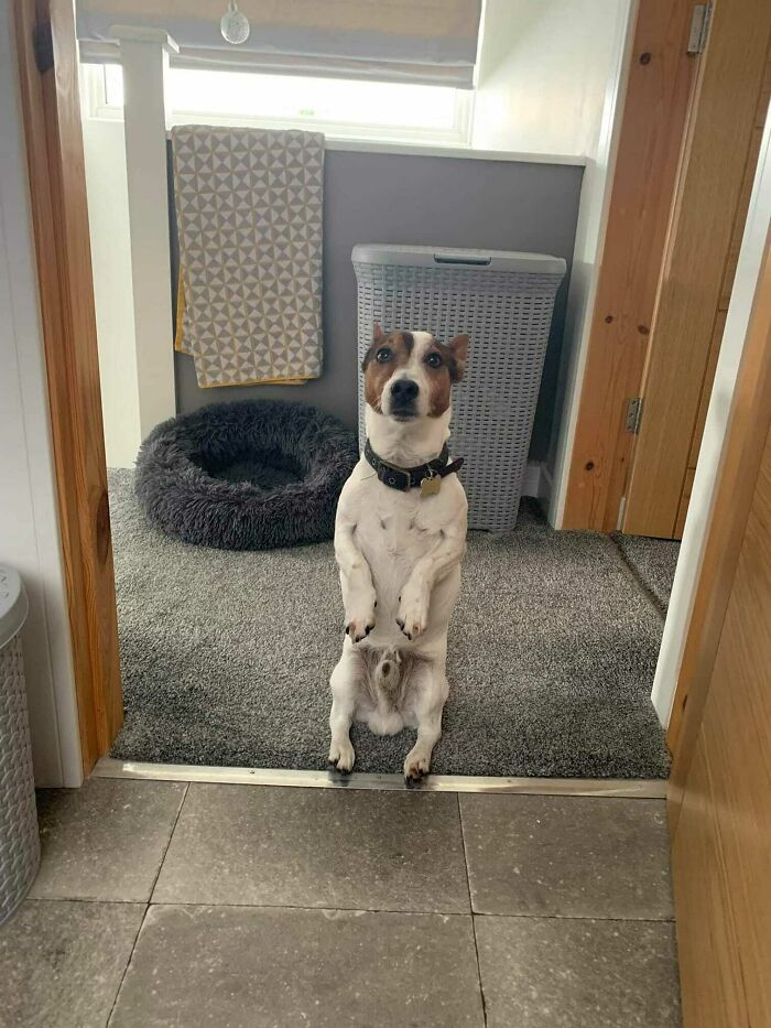 My Friend Opened His Bathroom Door To This...