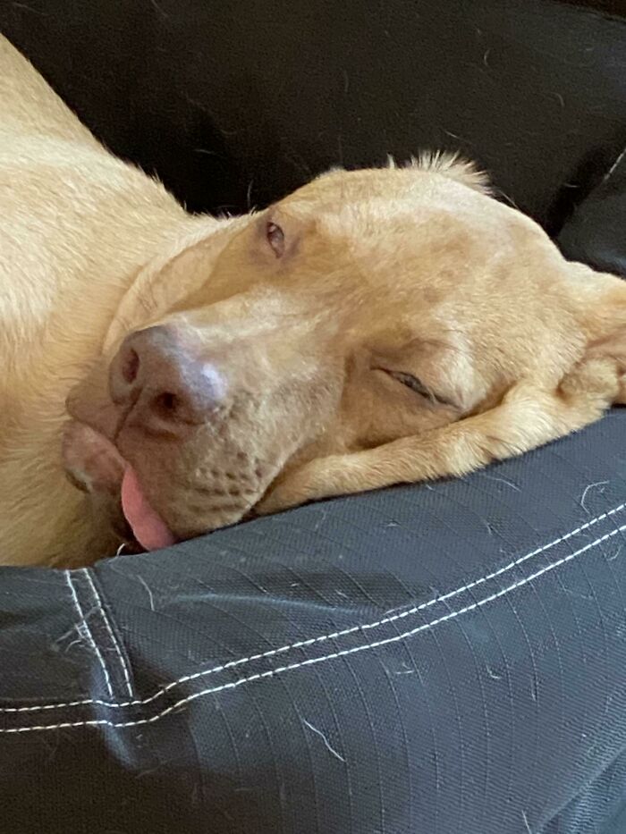 Stand Back Ladies, This Romeo Is All Mine