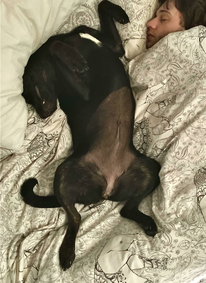 I Got Up To Go To The Bathroom This Morning And Got Back To Find This On My Side Of The Bed