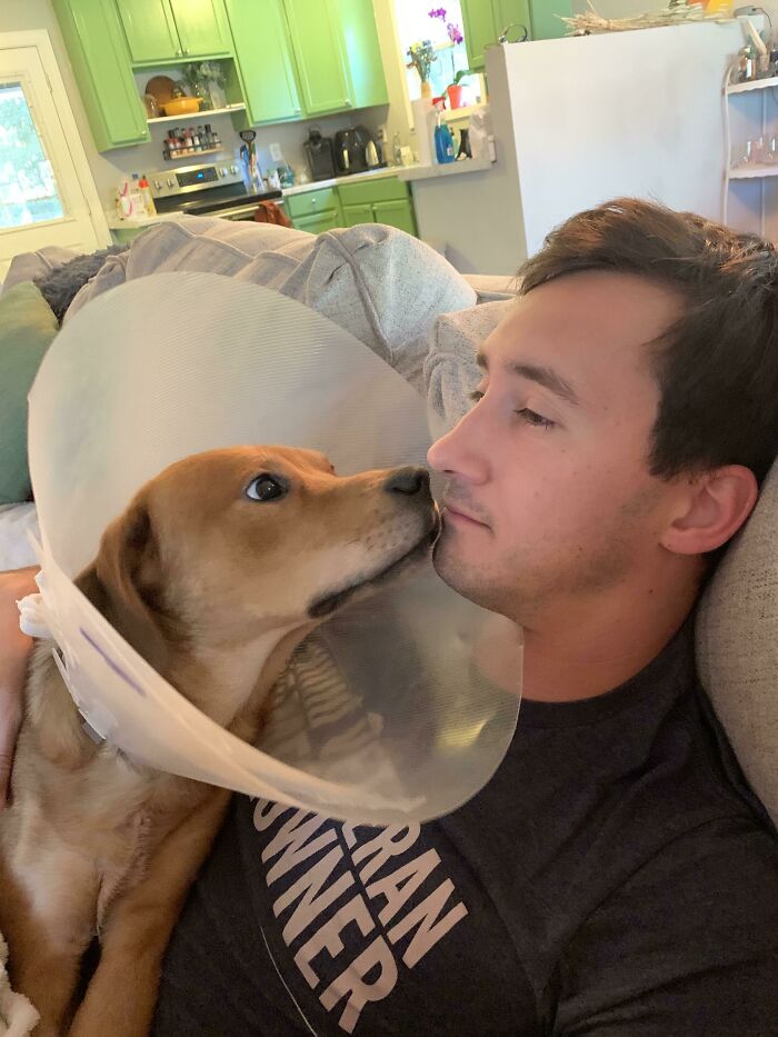 My Dog Likes To Get Really Really Close To You… But Not Touch You