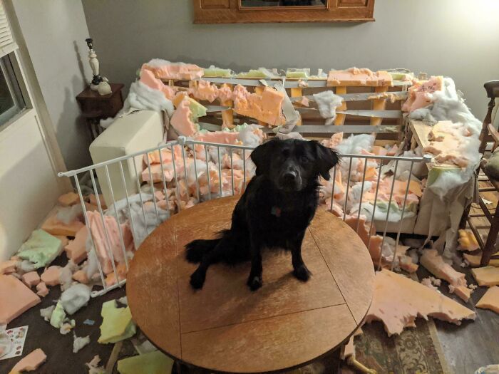 She Has Anxiety Issues