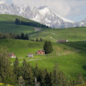 geraldinegoebrecht avatar