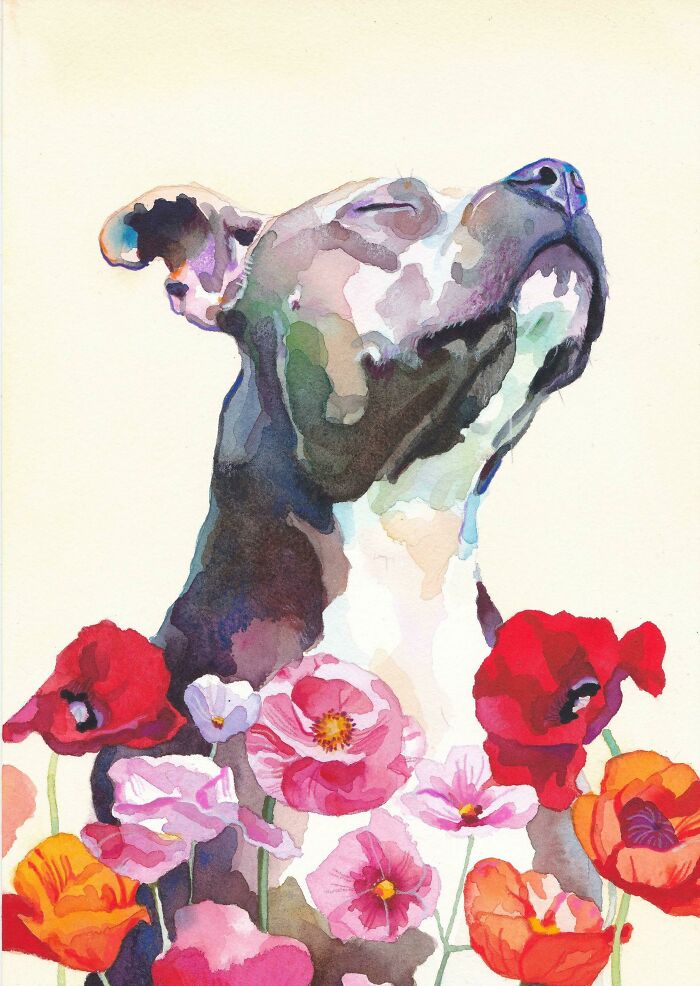 I Painted A Watercolour Portrait Of A Pitbull Enjoying The Sun