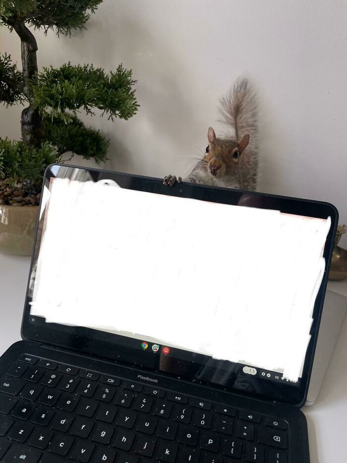 Volviendo a mi mesa, no encontraba mis pistachos, y casi me da un infarto