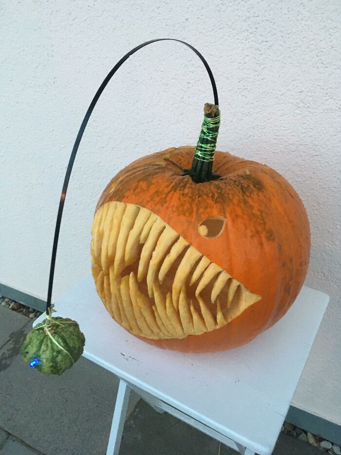 Calabaza de pez rape