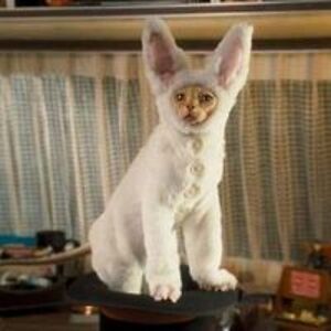 terrorizz2003 avatar