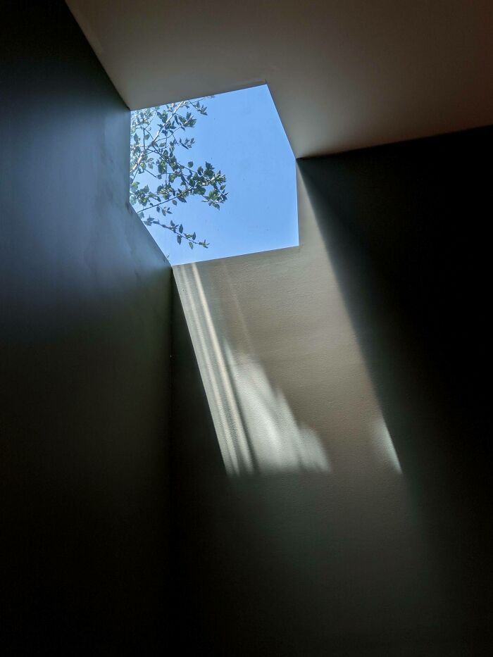 Heard You Like Cubic Windows? Shot This On Monday At The Huntington In La