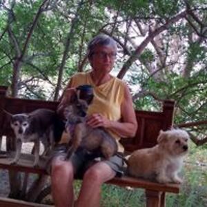 marilynfogleman avatar