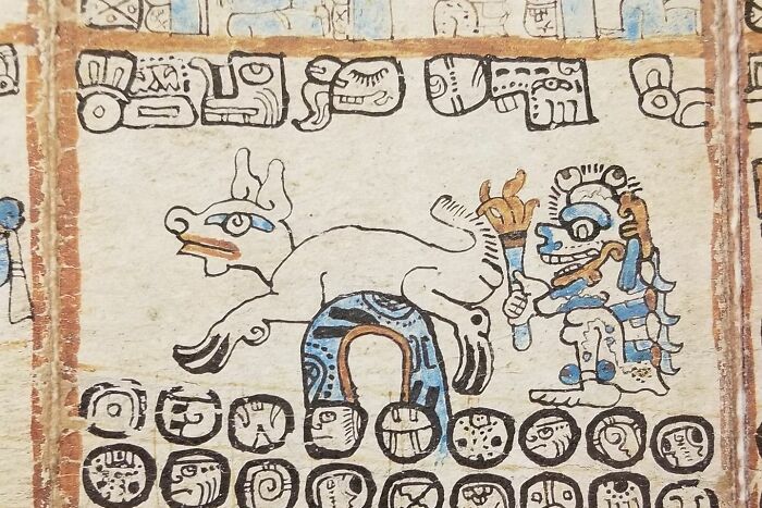Mayan Exhibit Had This Image In A Codex Of A Guy Setting A Goat's Ass On Fire And Laughing About It