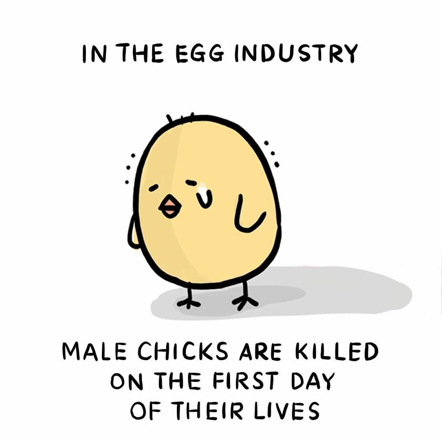 These Comics Showing The Suffering Of Animals Will Make You Think ( 77 Comics)